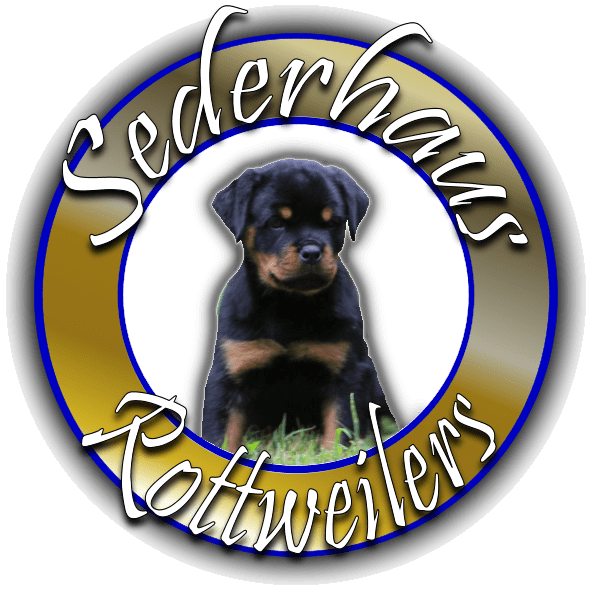 Rottweiler Females